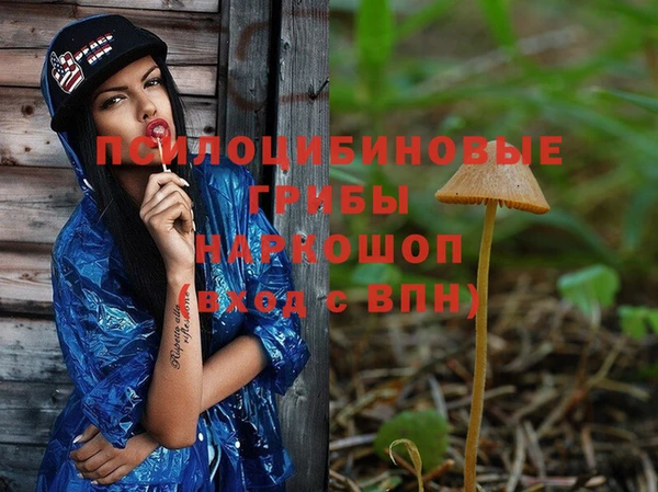 мдма Белокуриха